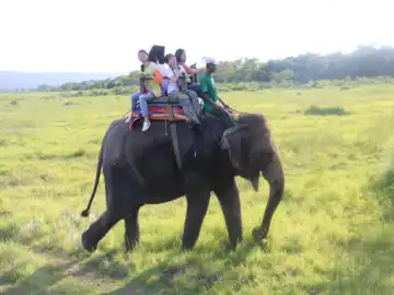 Elephant Ride in Chitwan- Real Adventure Tour in Nepal